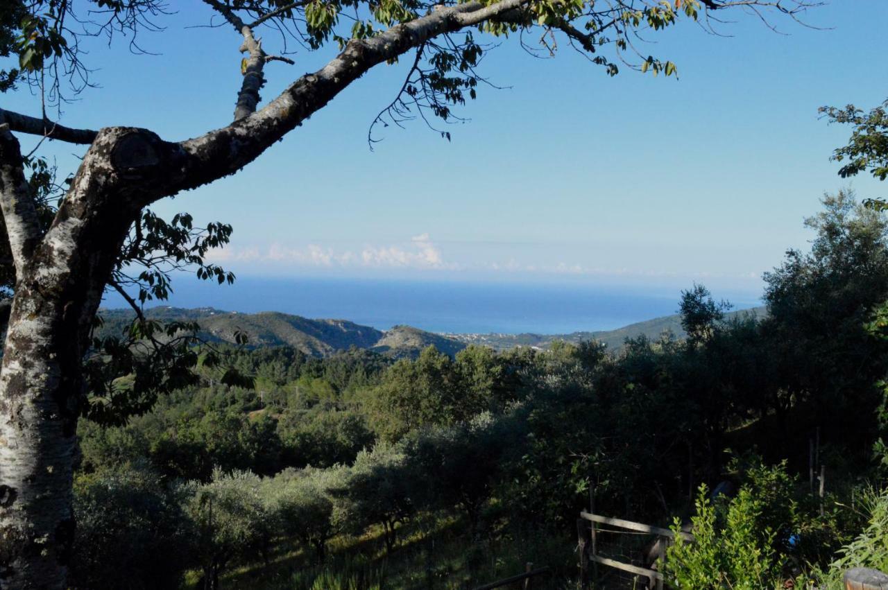 Bed and Breakfast Masseria Cata Catascia Tortorella Exterior foto